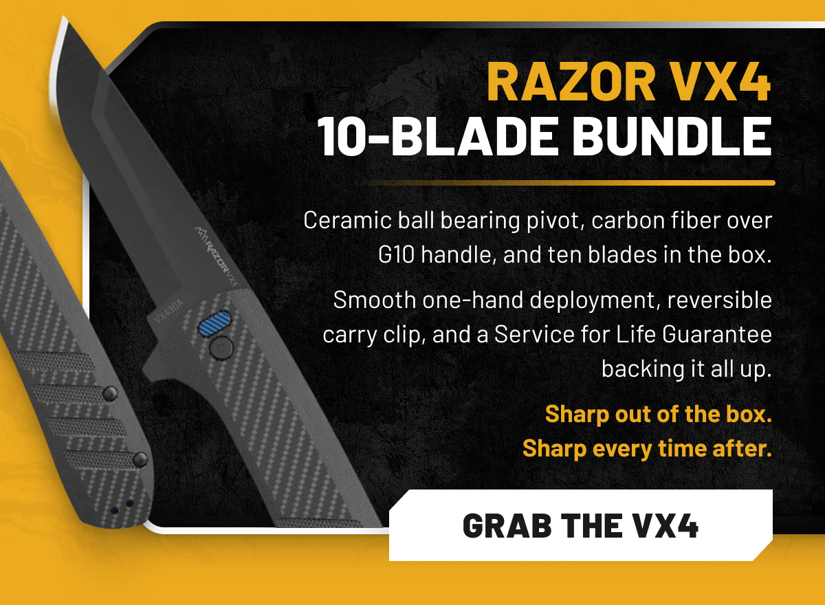 Razor VX4 10-Blade Bundle