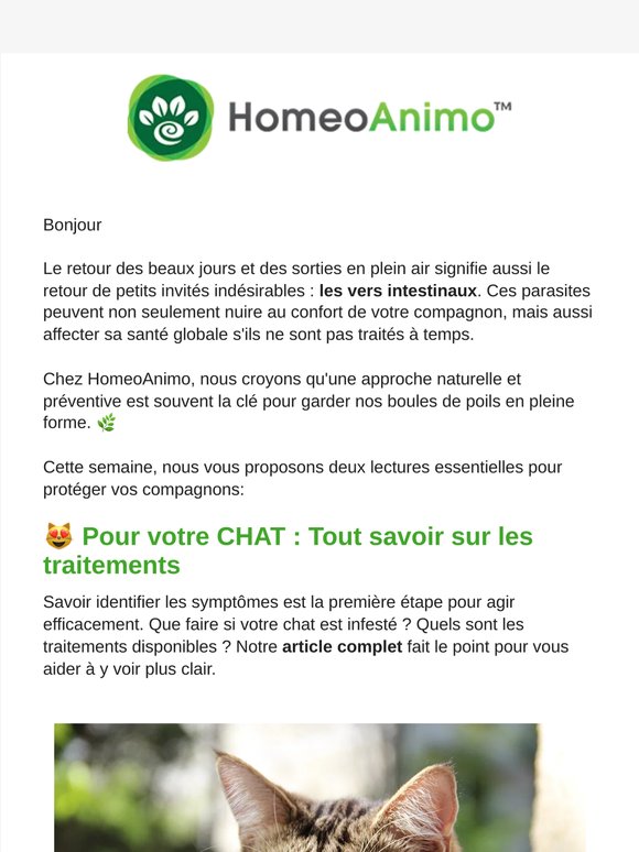Protégez vos compagnons des vers : 🪱 solutions naturelles et traitements efficaces ! 🌿