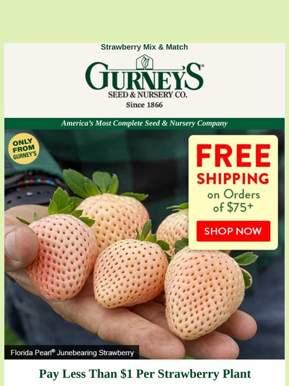 ENDS TOMORROW | Free shipping on your $75+ order.