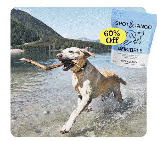 60% OFF 