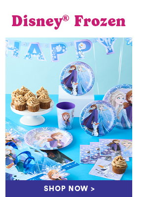 Disney Frozen Shop Now
