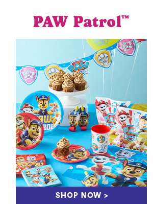 PAW Patrol Shop Now