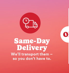 Same Day Delivery We'll transport them - so your don't have to. or