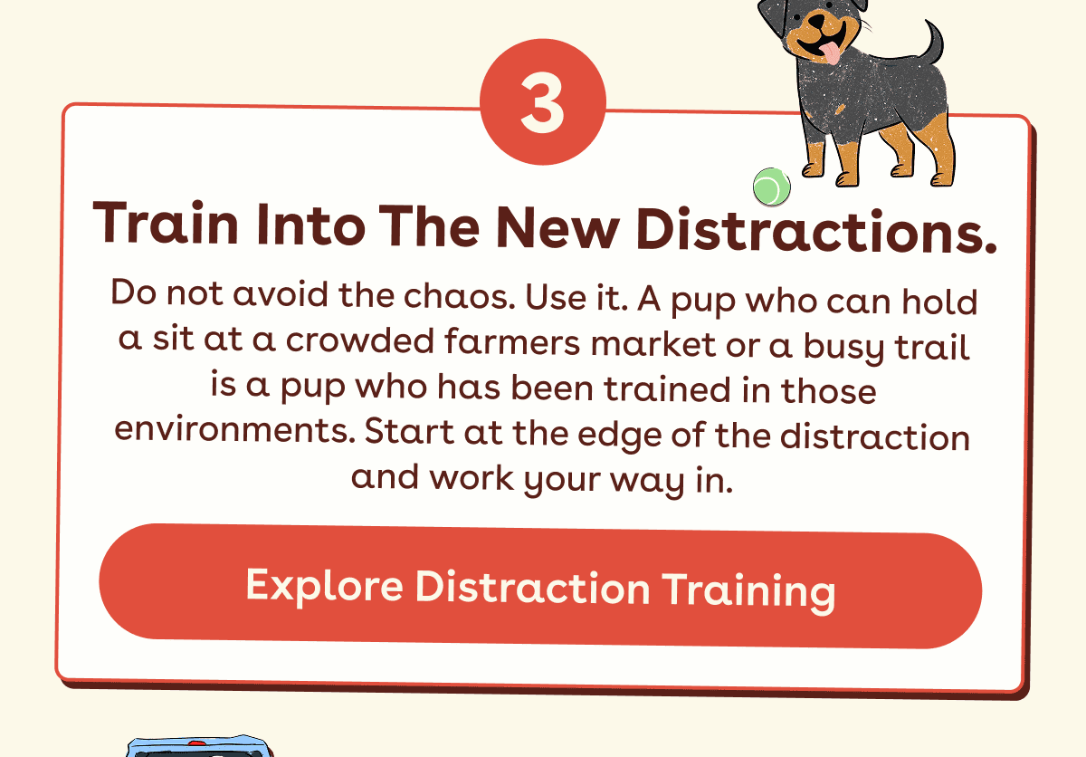 Explore distraction training 