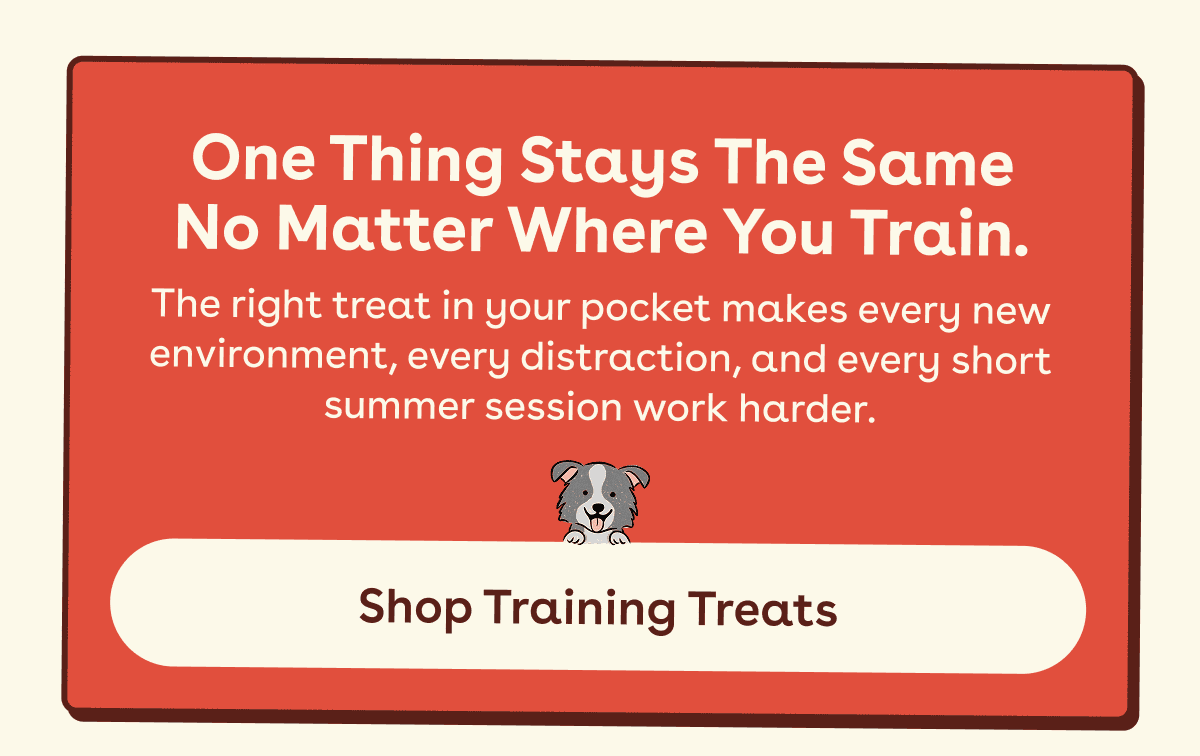 Shop training treats