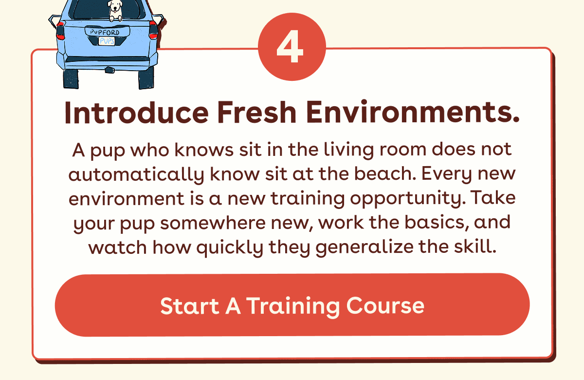 Start a training course