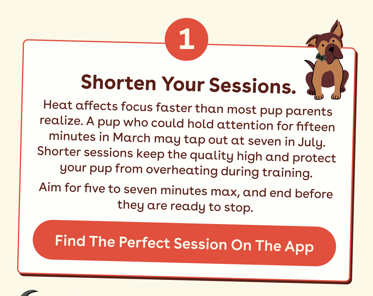 Find the perfect session on the app 