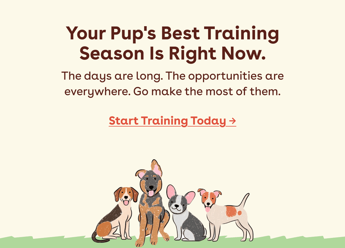 Start training today 