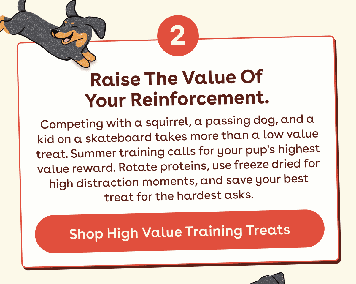 Shop high value training treats