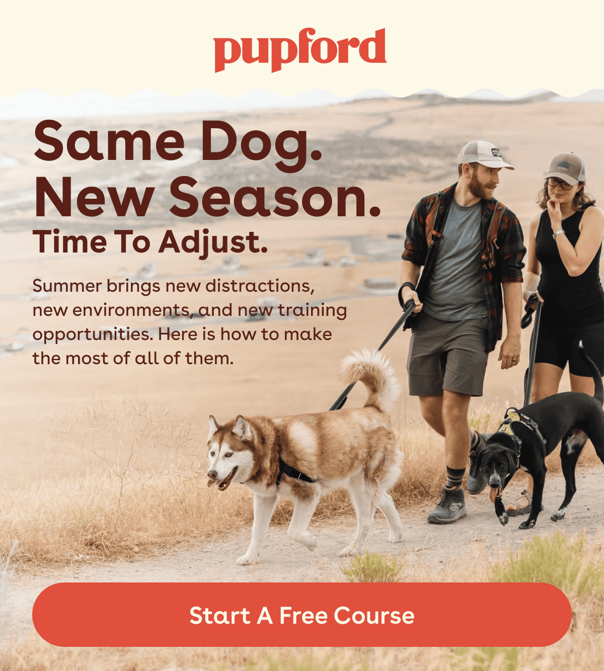 Start a free course 