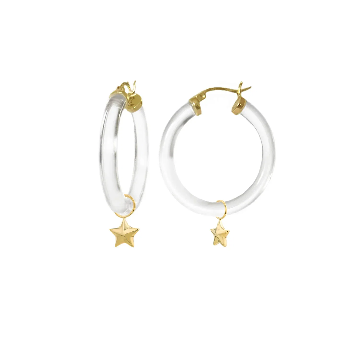 Image of Mini Star Charm Lucite Hoop Earrings