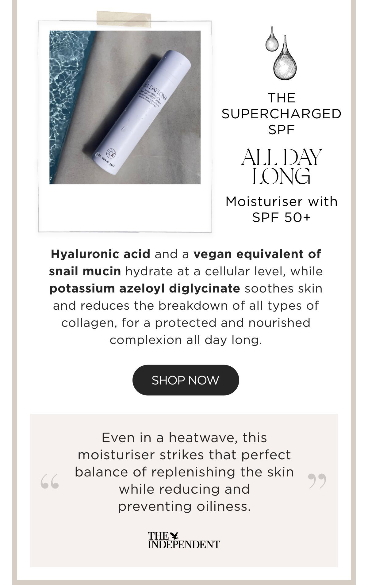 ALL DAY LONG- SHOP NOW