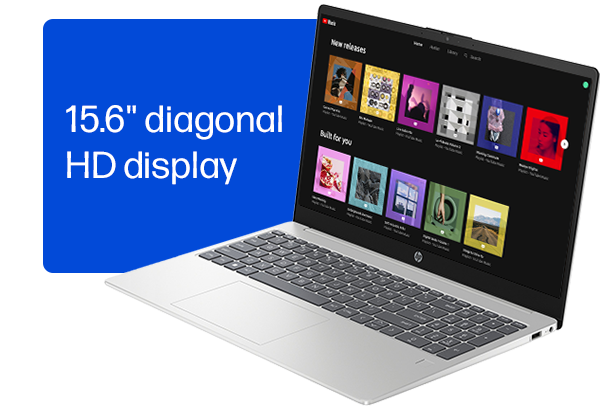 15.6' diagonal HD display