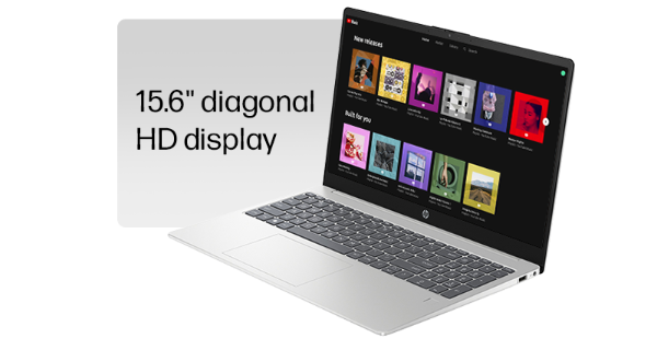 15.6' diagonal HD display
