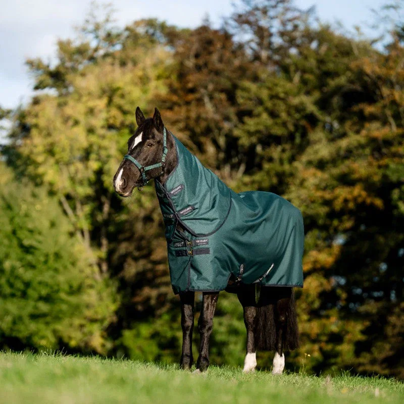 Image of Horseware - Couverture d'extérieur Amigo Ripstop Plus Turnout dynasty green/ marine/ argent 100g