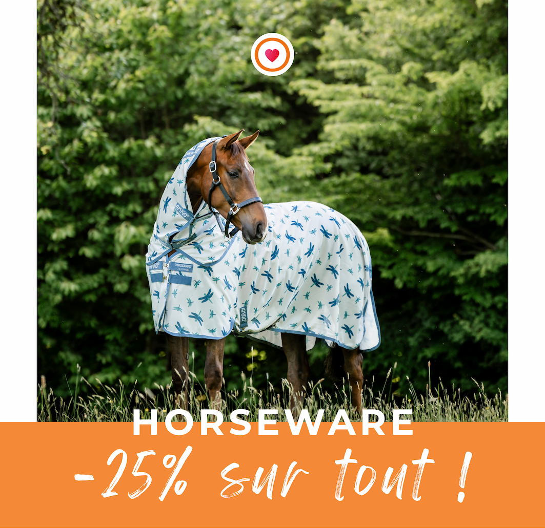 -25% HORSEWARE