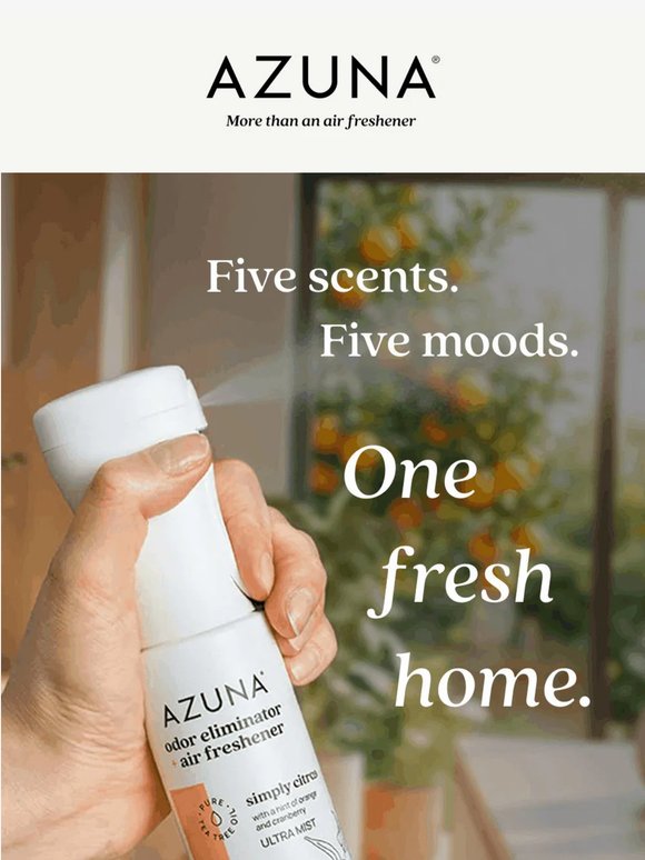 Scent stories: Find yours.