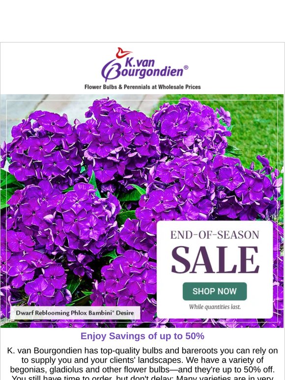 Reductions of up to 50% During Our End-of-Season Sale!