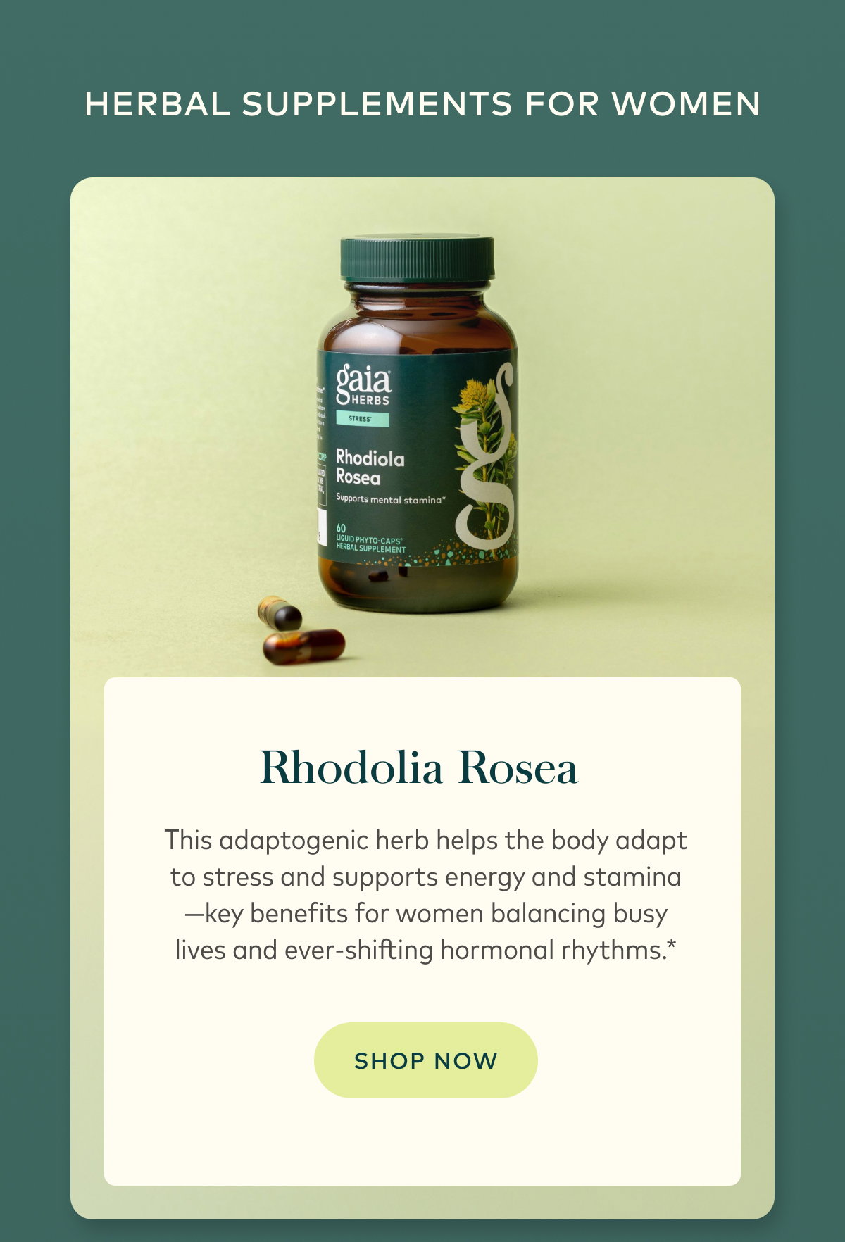 Rhodolia Rosea
