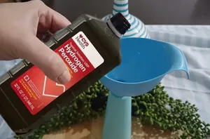 The super simple way to use hydrogen peroxide outside this week
