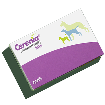 Cerenia Member Only Pet Rx Savings