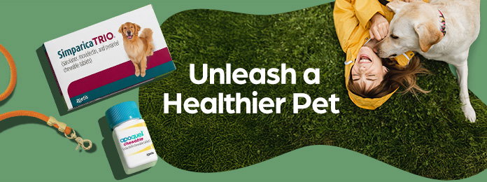 Member Only Pet Rx Savings