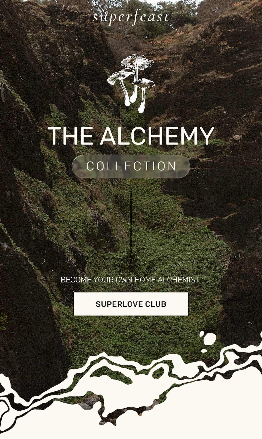 THE ALCHEMY COLLECTION | SUPERLOVE CLUB