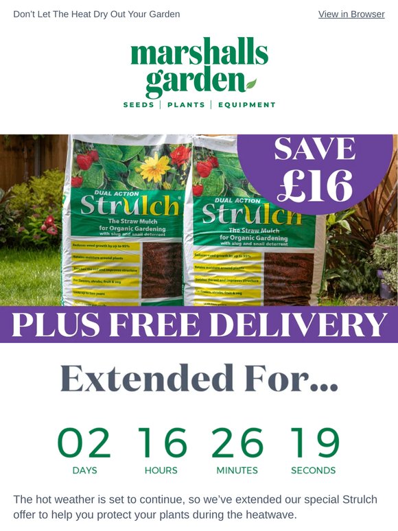 Heatwave Help For Your Garden – Strulch Offer Extended