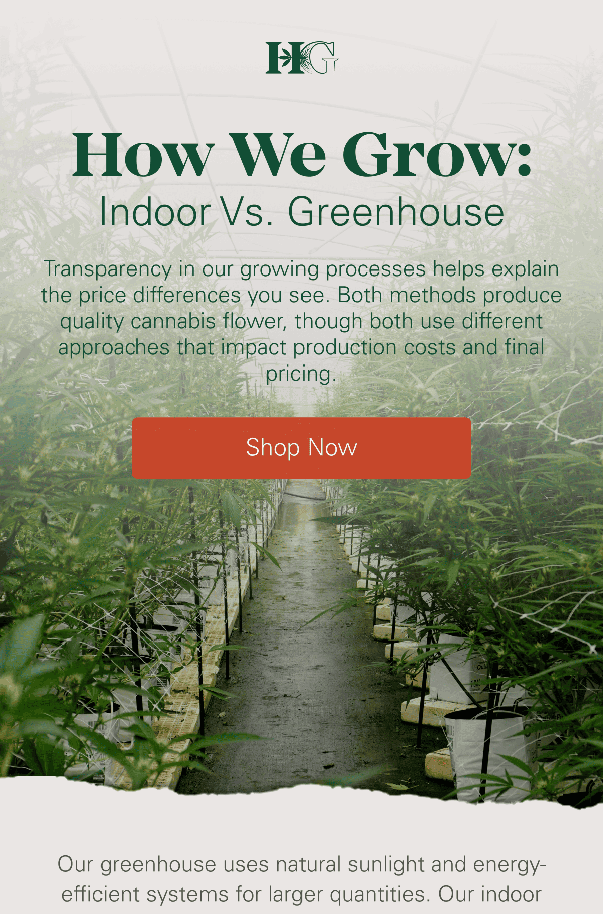 Indoor vs Greenhouse Explained 🔬