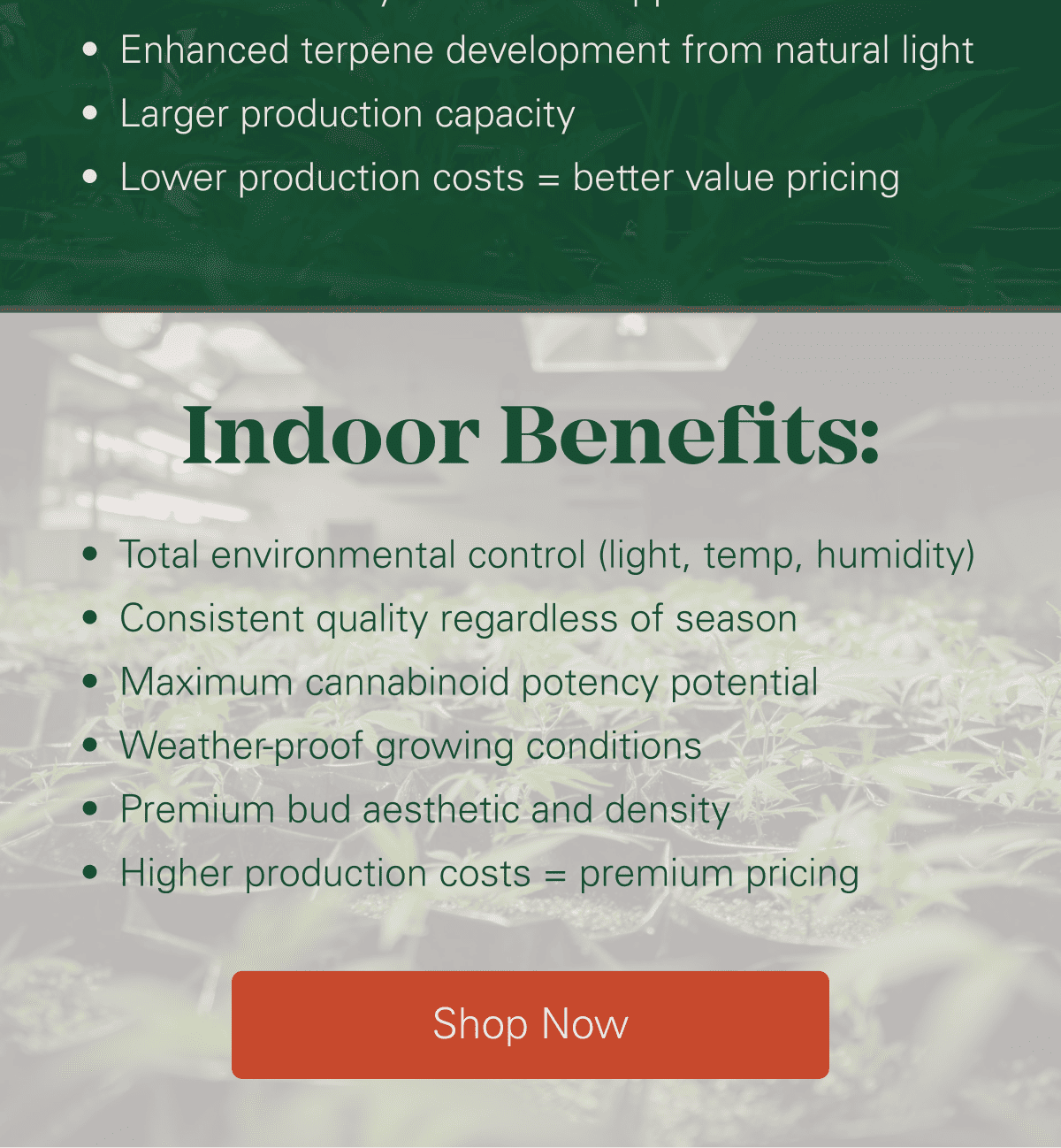 Indoor vs Greenhouse Explained 🔬