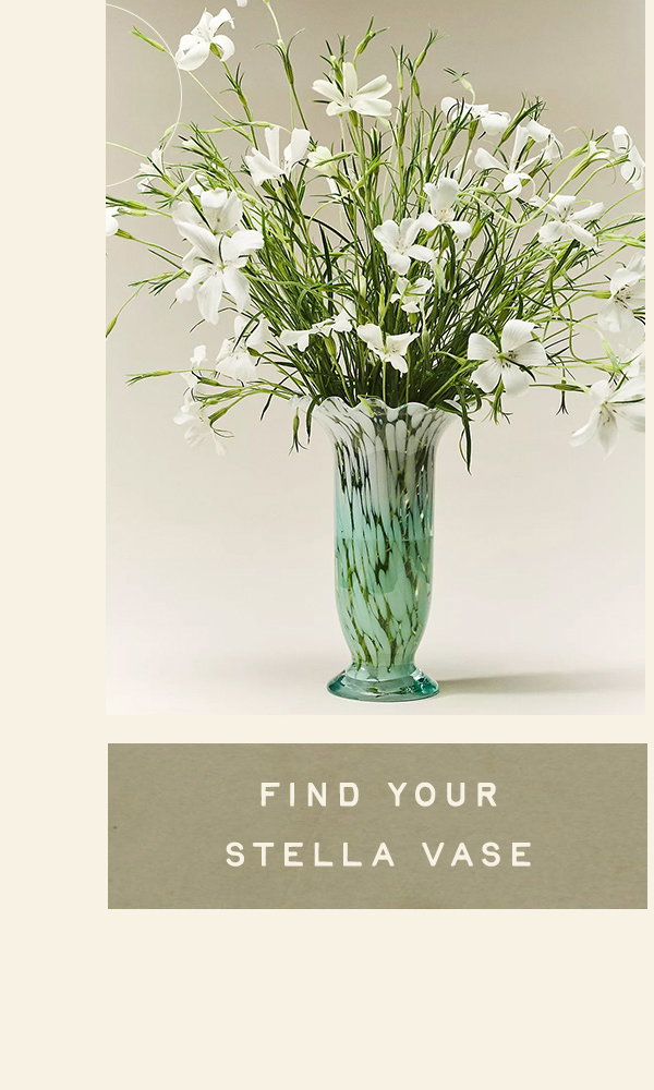 find your stella vase