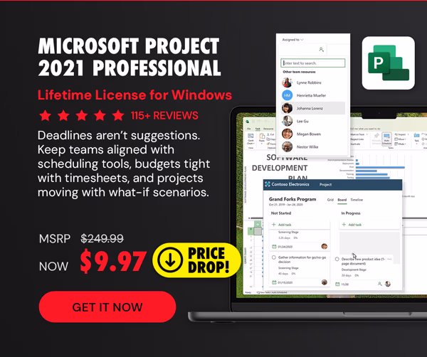 Microsoft Project 2021 Professional: Lifetime License for Windows