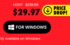 Microsoft Office Professional 2021 for Windows: Lifetime License