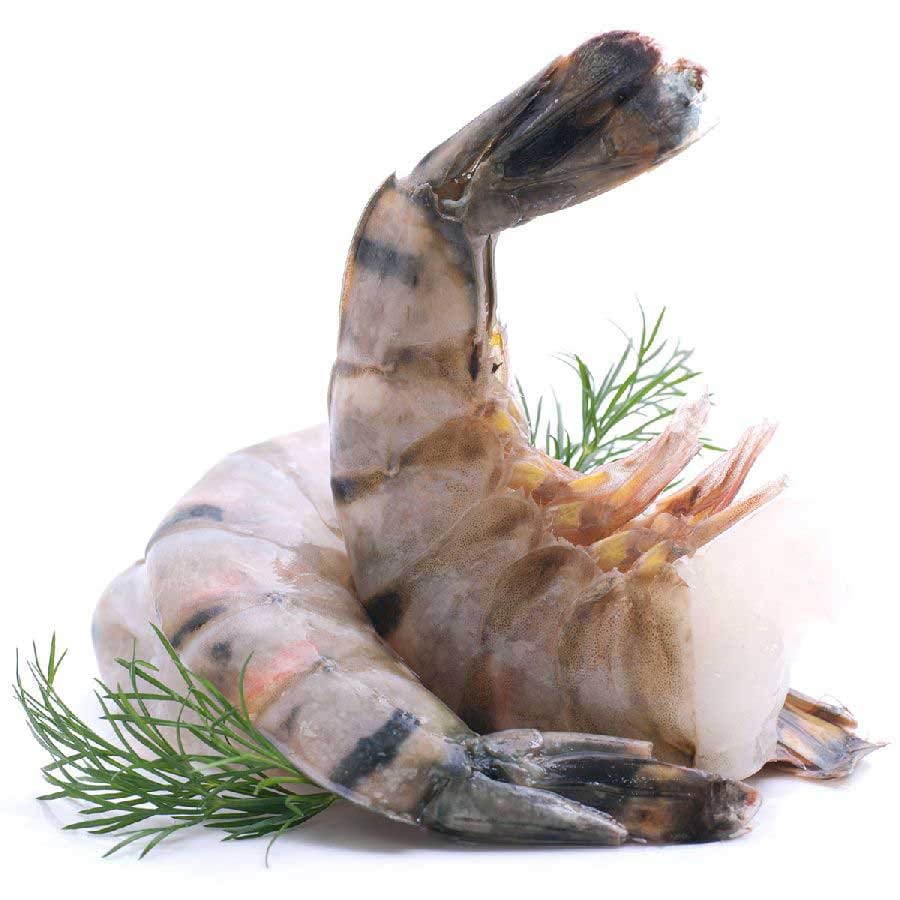 Black Tiger Shrimps XL roh ohne Kopf mit Schale