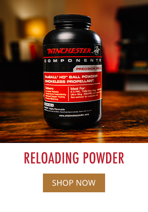 Shop All Powder