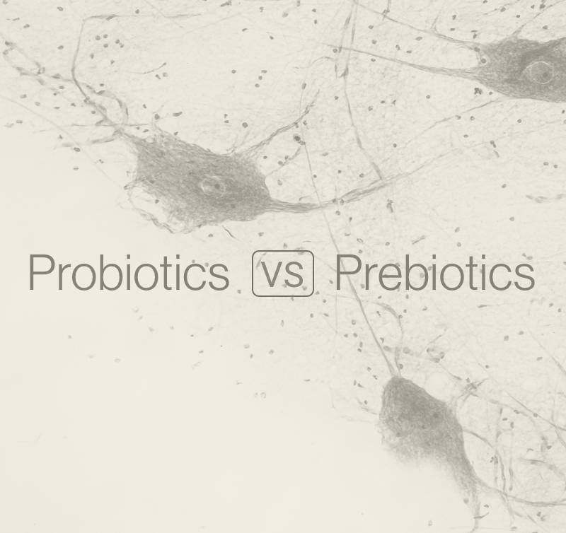 Probiotic VS Prebiotic