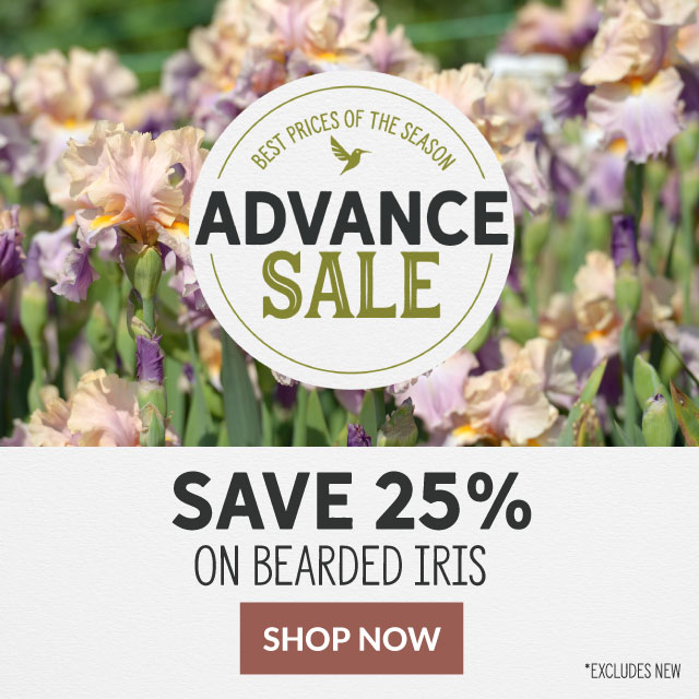 Advance sale