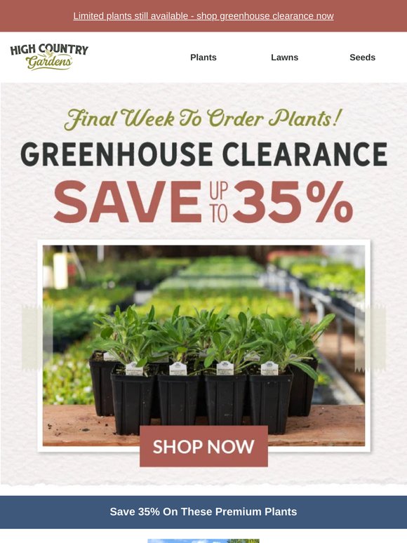 Final Week: Save Up To 35% On Plants Before They're Gone