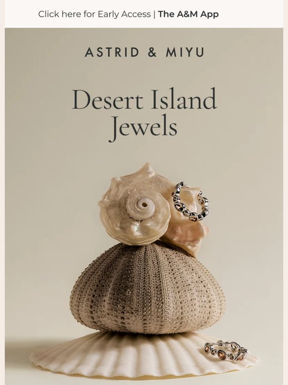First look at our solstice collection