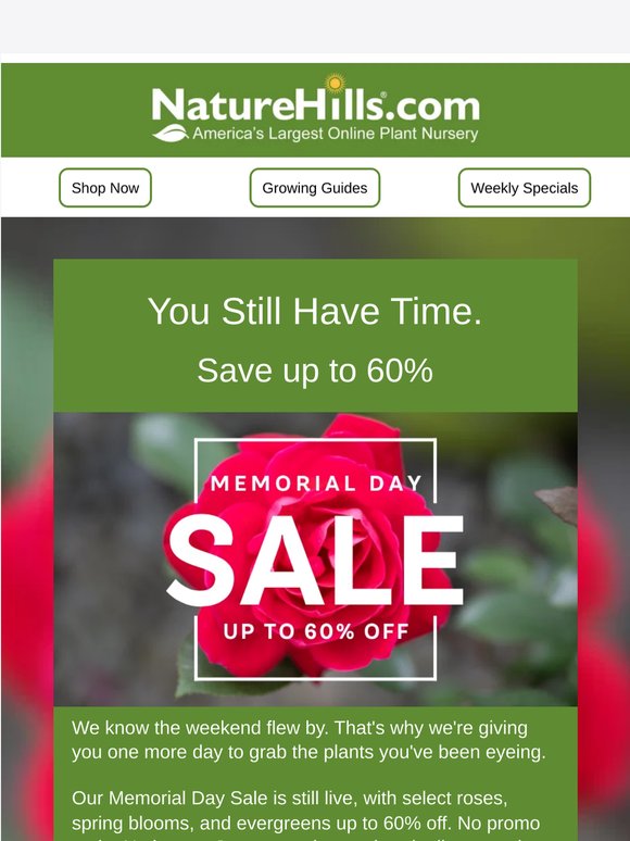 Still Going: Up to 60% Off, But Not Much Longer