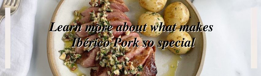 Iberico pork: a specialist guide