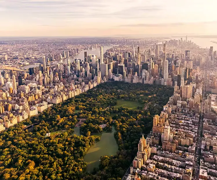 Book a last-minute flight, for less