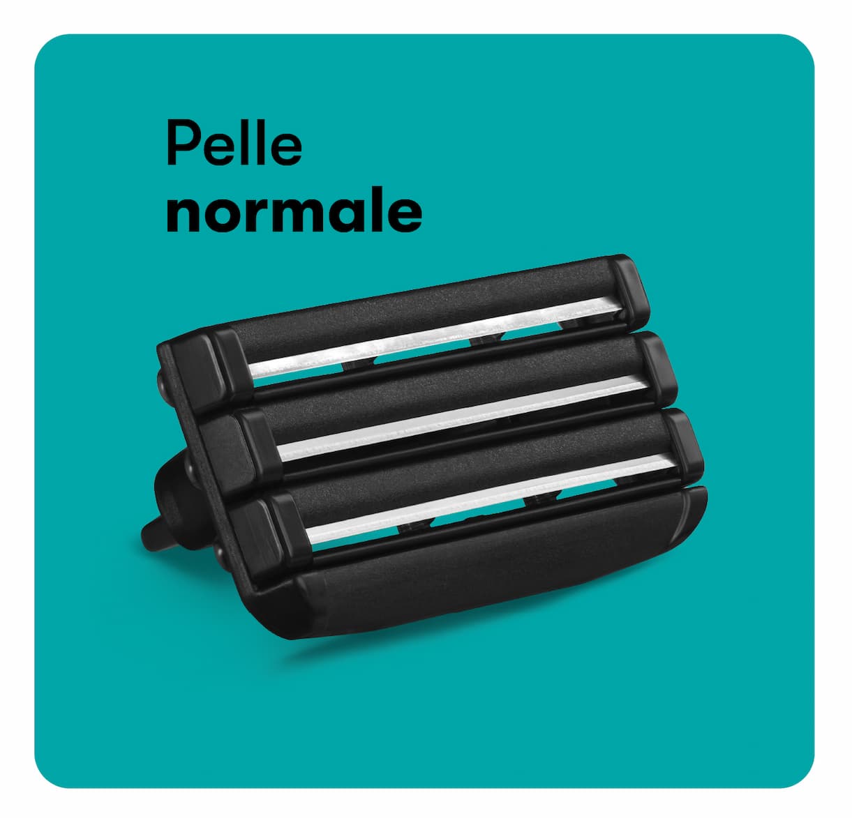 Pelle normale