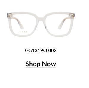GG13319O 003