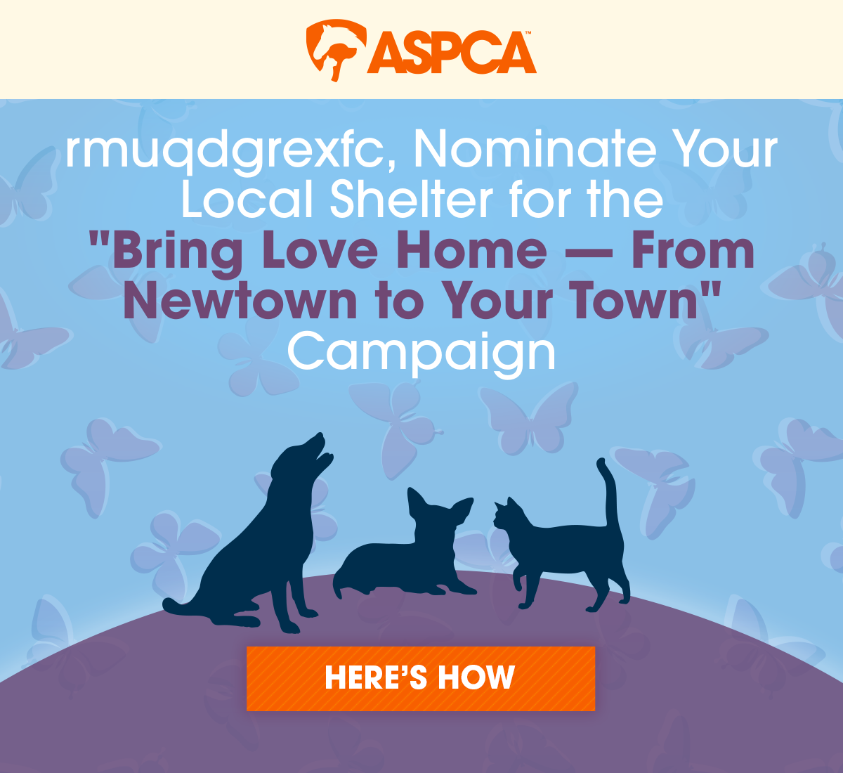 Nominate Your Local Shelter for the “Bring Love Home — From Newtown to Your Town” Campaign!