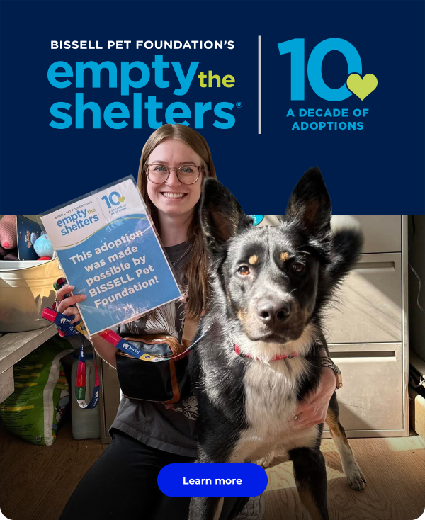 Empty the Shelters(R) celebrates 10 years!