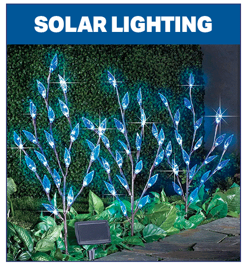 Solar Lighting