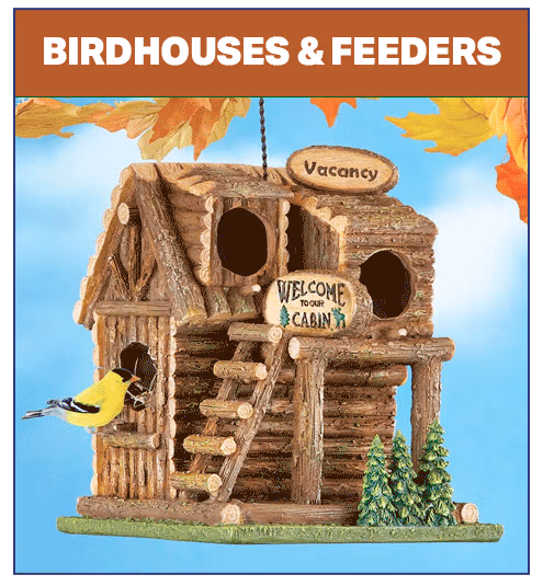 Birdhouses & Feeders