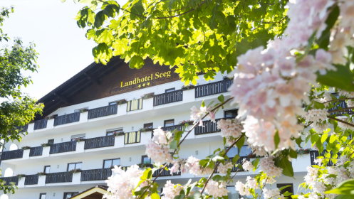12591_seeg_hotel_sommer