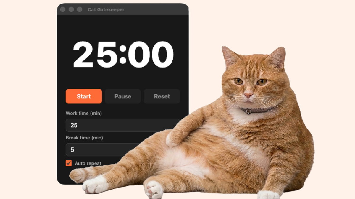 Este gato naranja quiere sacarte del doomscrolling